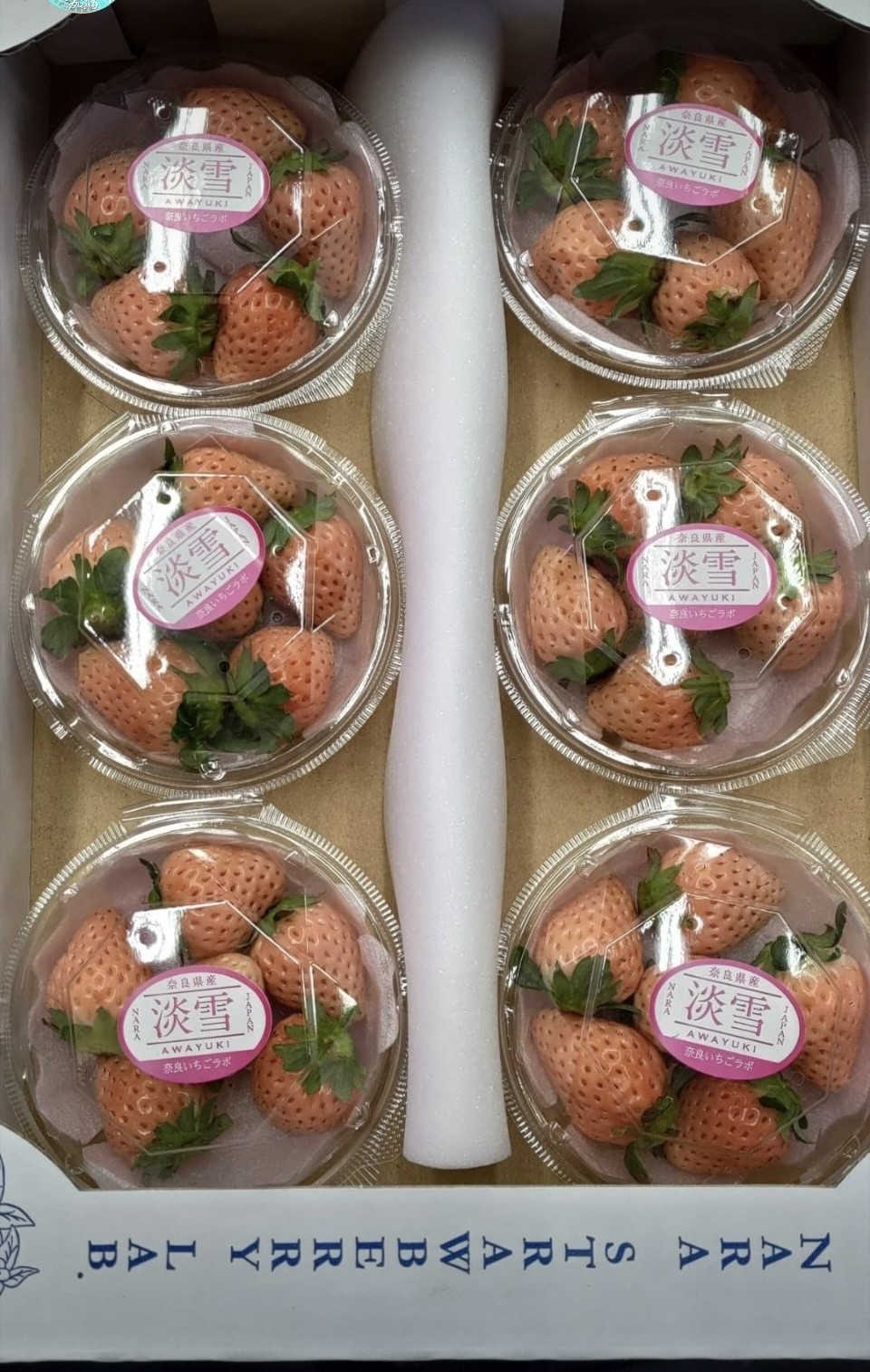 淡雪糖果盒草莓