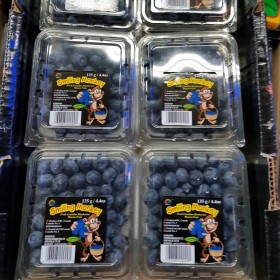 新鮮空運美國加州藍莓1箱12盒$1980 (5箱以上可議價)