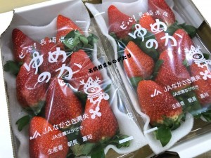 福岡博多草莓