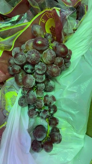 養樂多葡萄