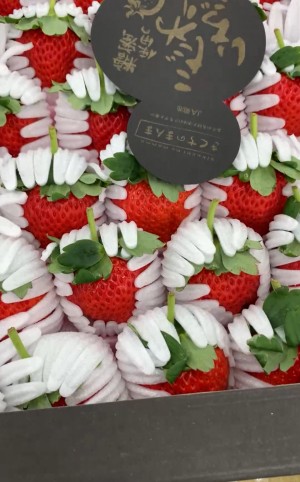 日本黑盒糖蜜草莓
