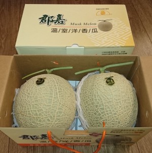台灣冠軍洋香瓜 [一箱兩顆，每顆約3.5臺斤]